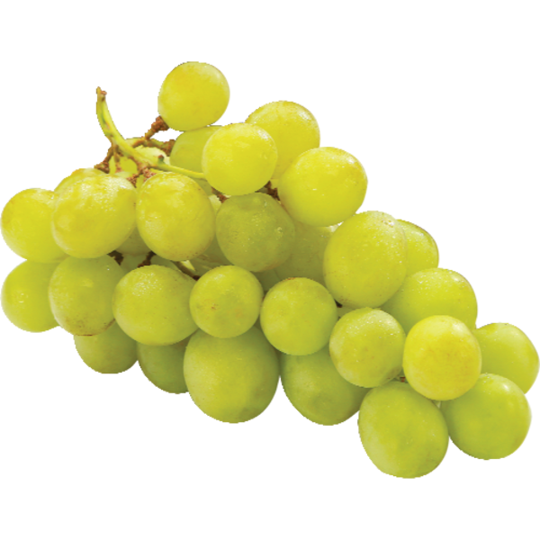 Green Seedless Grapes