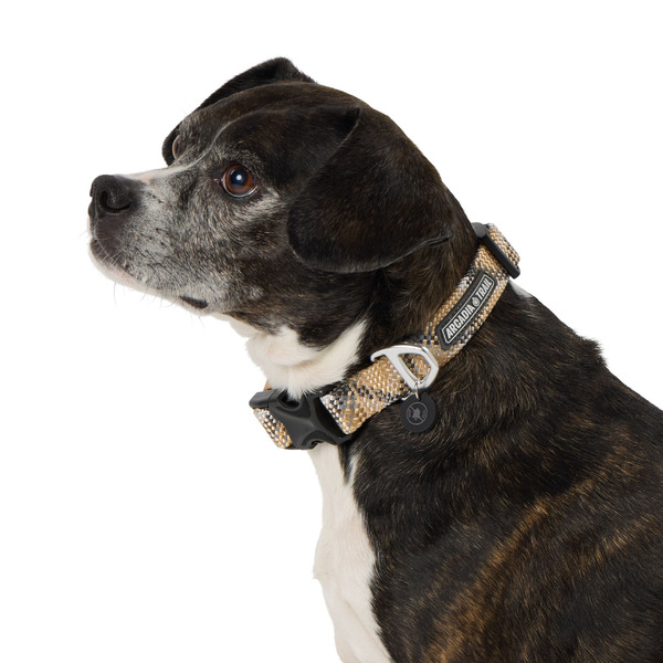 Arcadia Trail Paracord Dog Collar, Large