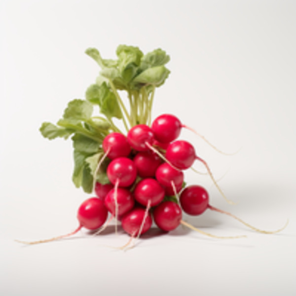 Mexican Radish