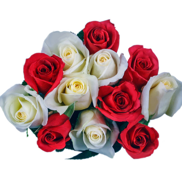 Red Roses Bouquet Same-Day Delivery | Cardenas Markets