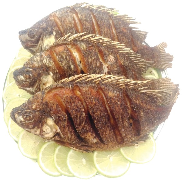 Mojarra