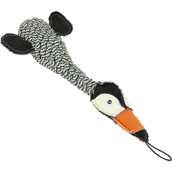 Play On Rope Bottle Crunch Toucan Dog Toy