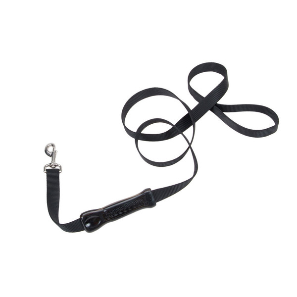 Coastal Pet 1" x 6' Insta-Grip Control Handle Nylon Leash