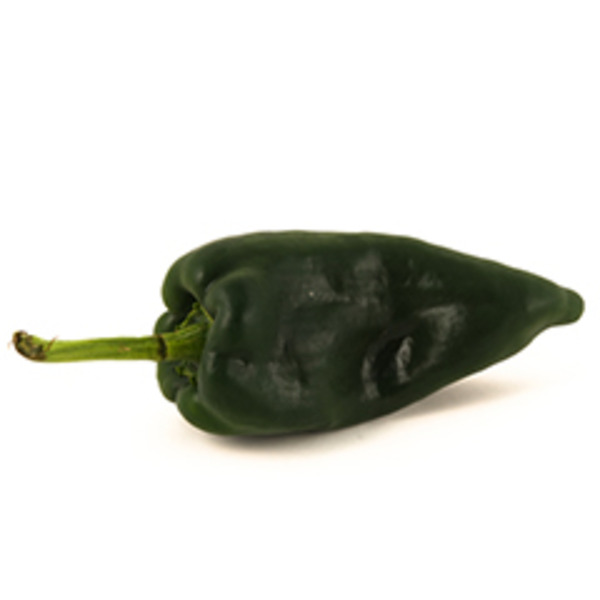 Poblano Pepper
