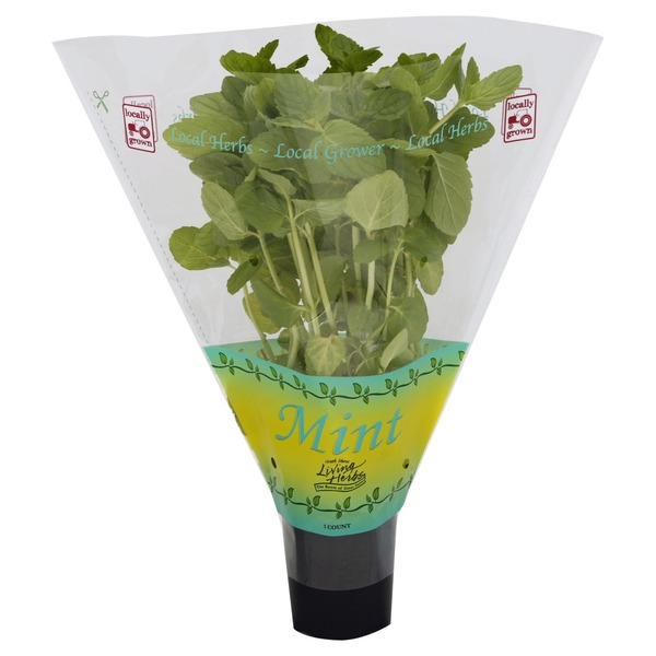 north shore bakery living mint from safeway instacart