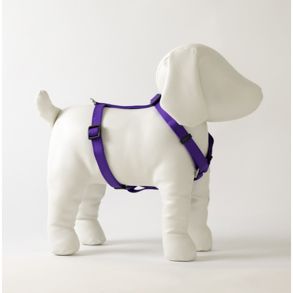 Play On Basic Adjustable Dog Harness, Medium - Purple