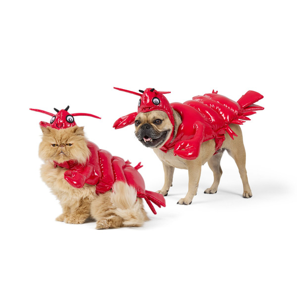 Thrills & Chills Lobster Dog & Cat Costume, L