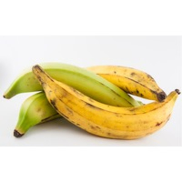 Plantain