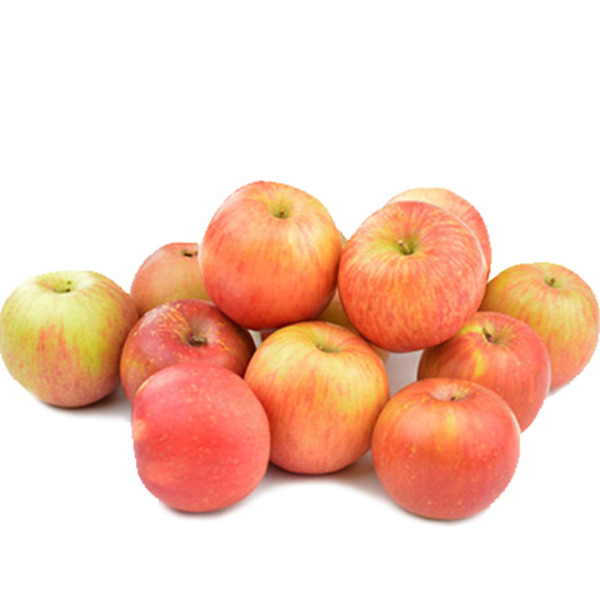 Fuji Apple