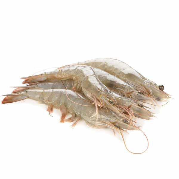 Head-On Shrimp