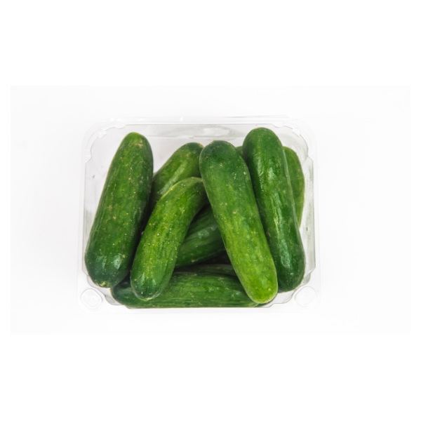 Mini Cucumbers