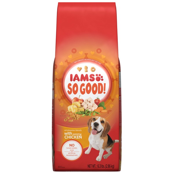 publix iams dog food