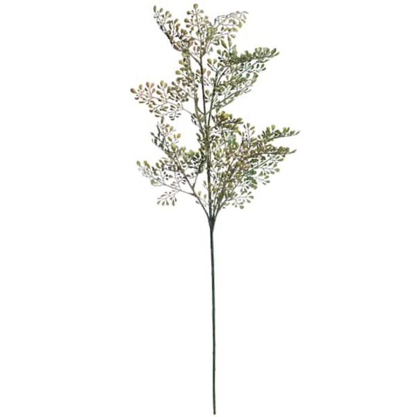 Ashland Microphylla Stem - Green & Brown
