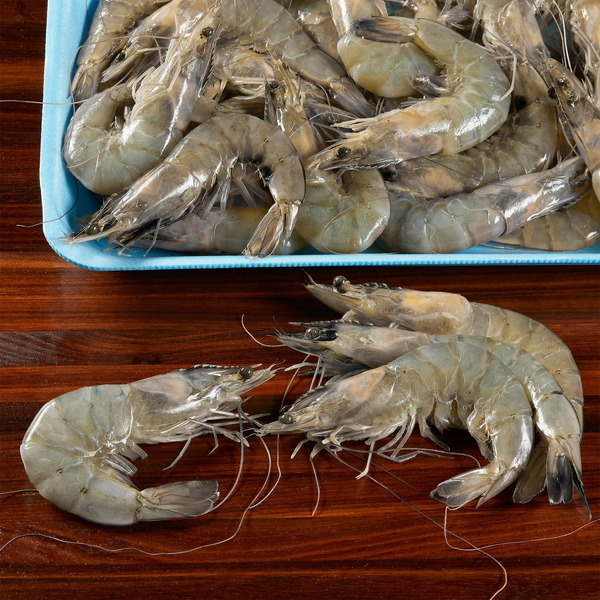 Kirkland Signature Whole Farmed White Shrimp 9/14 count