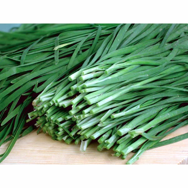 Chives