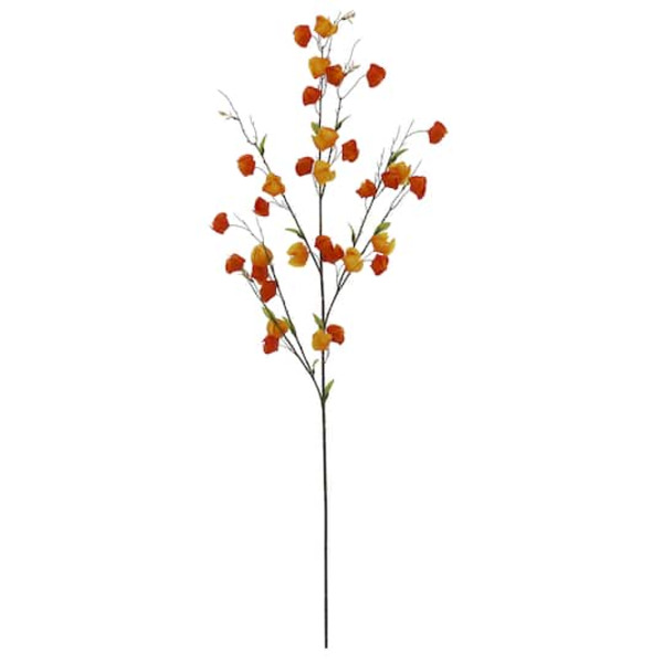 Ashland Chinese Lantern Stem