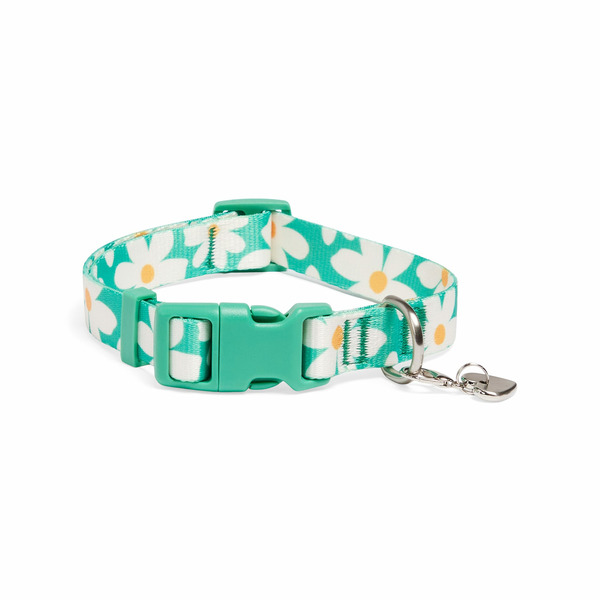 Youly Daisy the Classic M Dog Collar