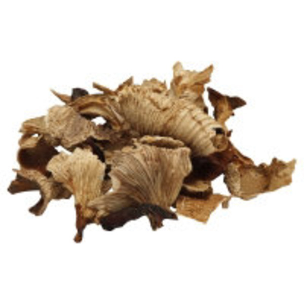 Chanterelle Mushrooms