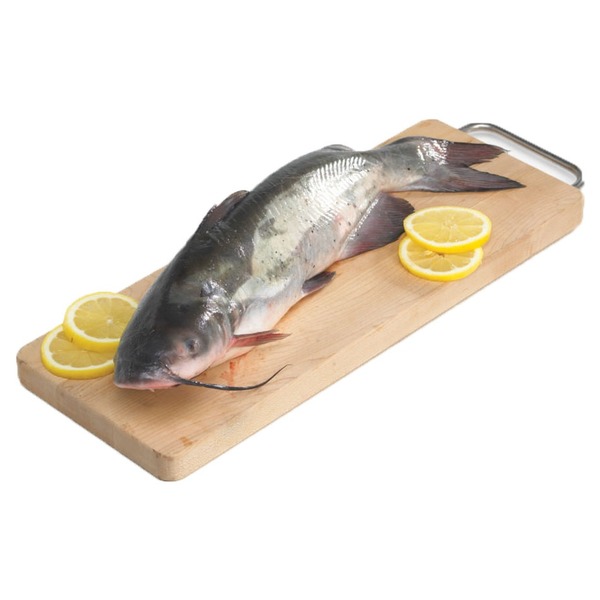 T/P Fresh Whole Catfish