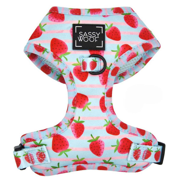 Sassy Woof Adjustable I Woof You Berry Much Dog Harness, Medium
