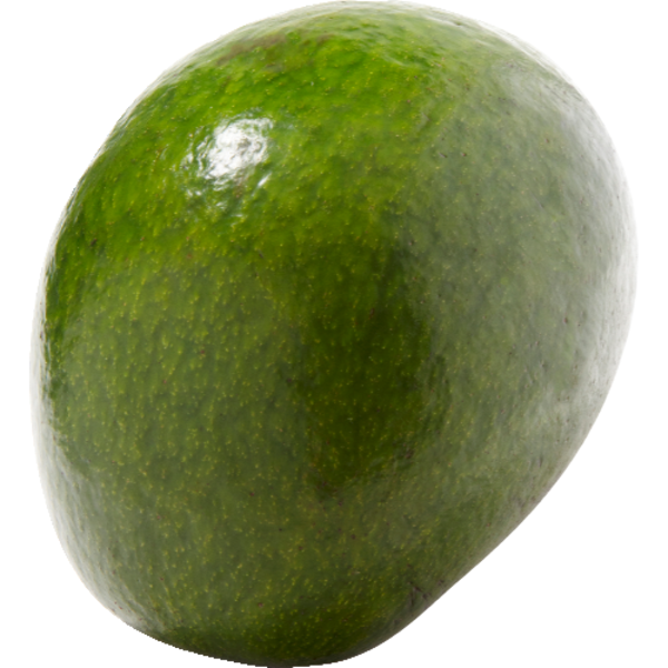 Green Avocado