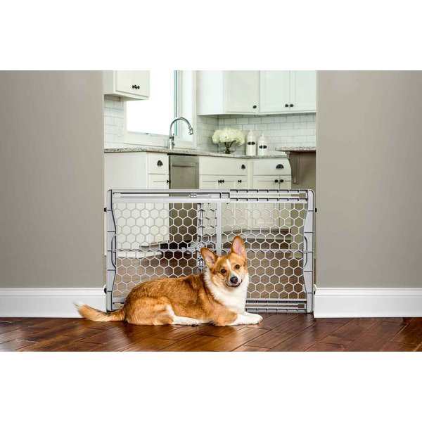 Carlson 23? Plastic Expandable Pet Gate