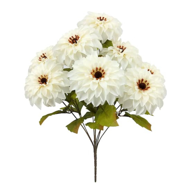 Ashland Zinnia Bush