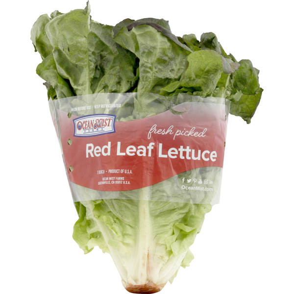 Ocean Mist Farms Red Leaf Lettuce