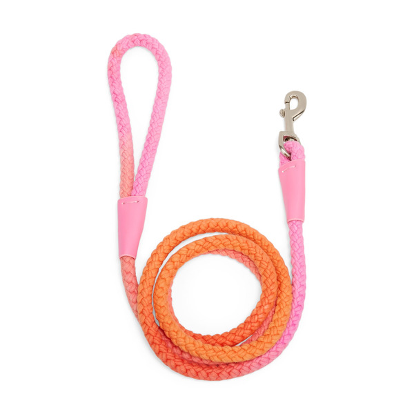 Youly Ombre Rope the Classic 6 Ft Dog Leash