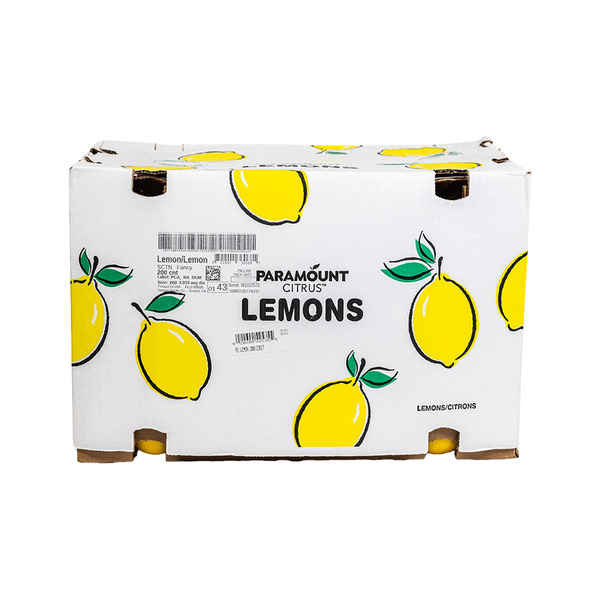 Choice Lemons - 200 ct Delivery or Pickup | Restaurant Depot