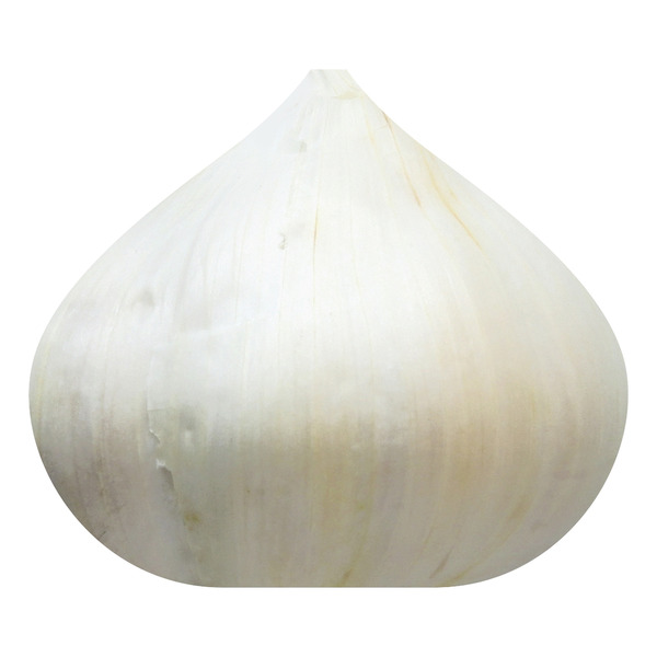 The Garlic Company Garlic