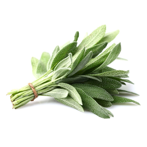 Sage - 4 oz