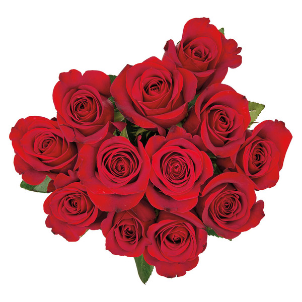 V-Day 12 Stem Roses Same-Day Delivery or Pickup | ALDI