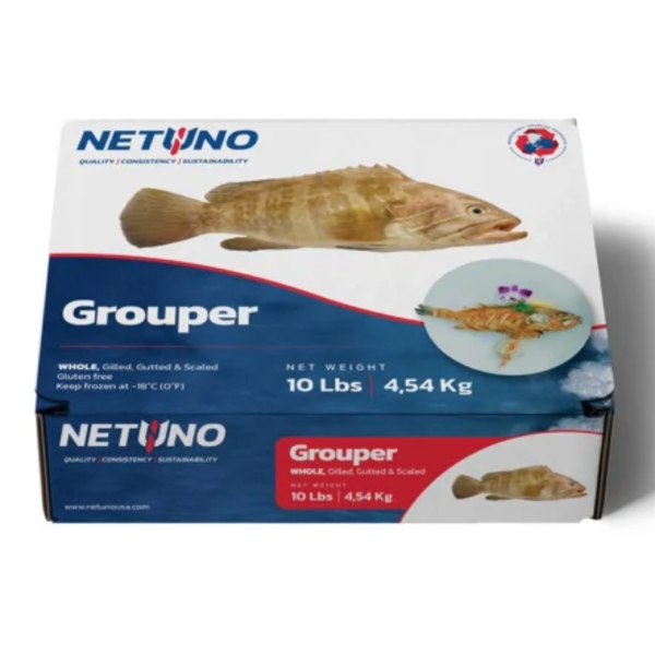 Netuno Whole Grouper 10lbs