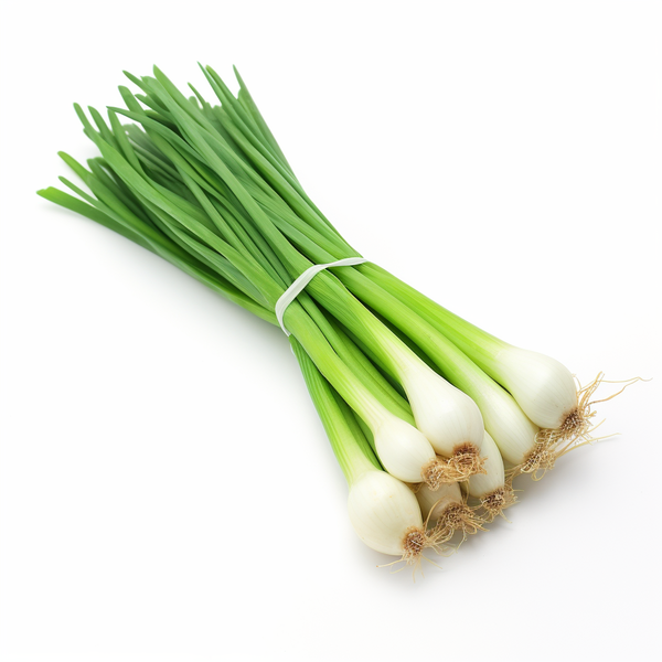 Scallion