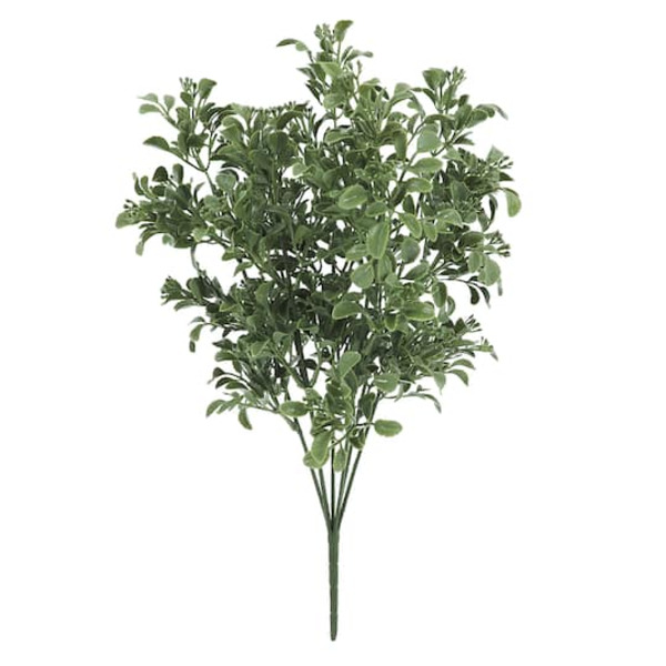 Ashland Green Eucalyptus Bush