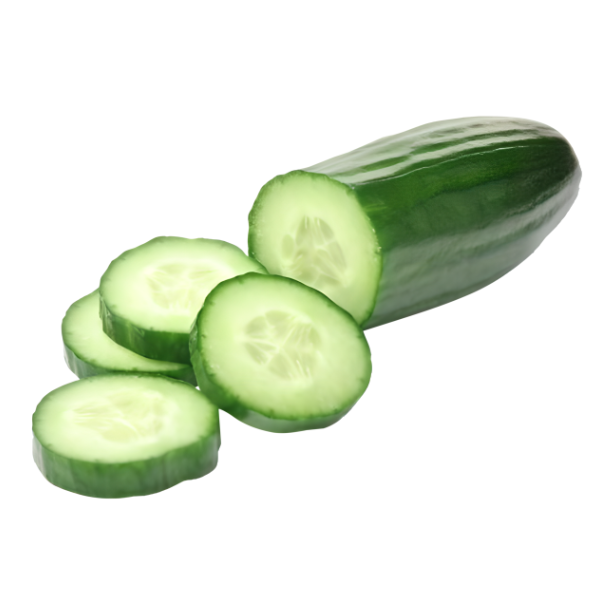 English Seedless Cucumber