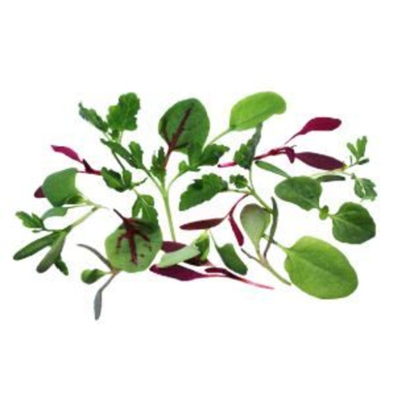 MICRO CITRUS MIX - 8 OZ