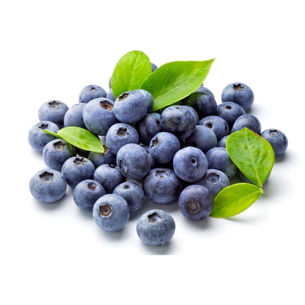 BLUEBERRIES, 6OZ