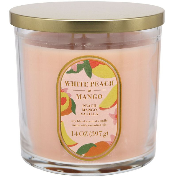 Sonoma Goods For Life White Peach & Mango Scented Jar Candle