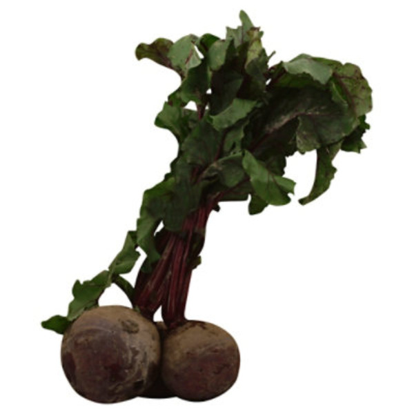 Organic Gold Beet Bunch