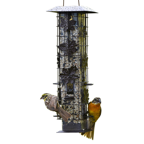 Perky-pet Squirrel-be-gone Squirrel-resistant Metal Durable Wild Bird Feeder - 2 Lb. Capacity