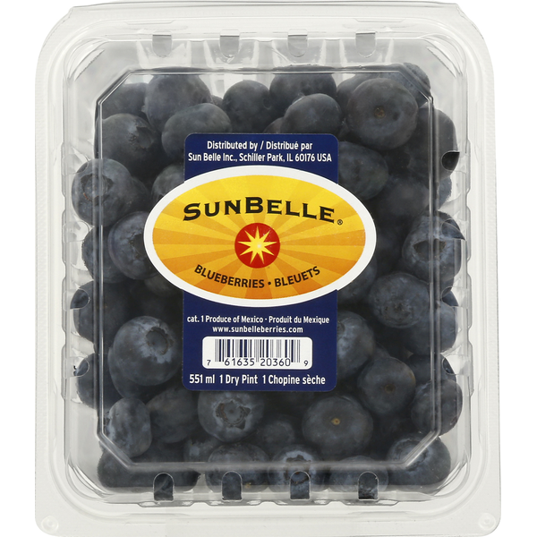 Blueberry KeplerBlue™ 'FCM12-038'