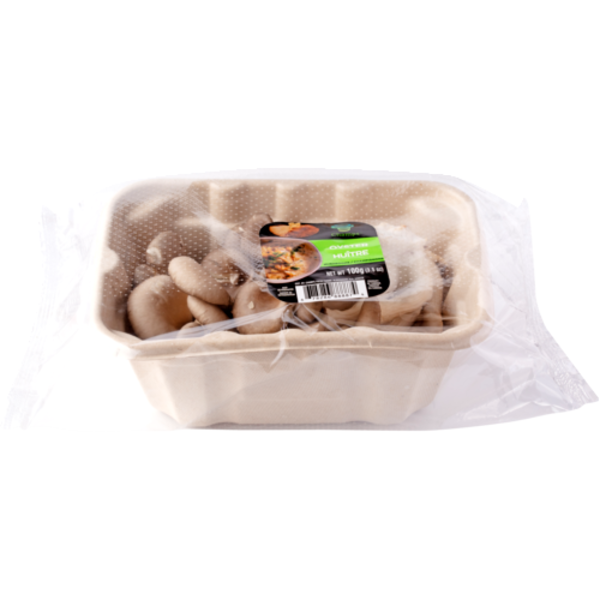 Champs Oyster Mushrooms