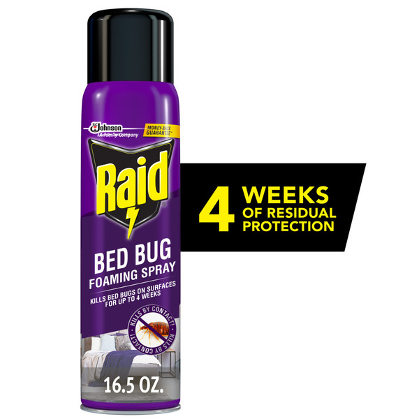 Raid Essentials Ant, Spider & Roach Killer – Plant-Based Aerosol Spray, Safe Around Kids & Pets