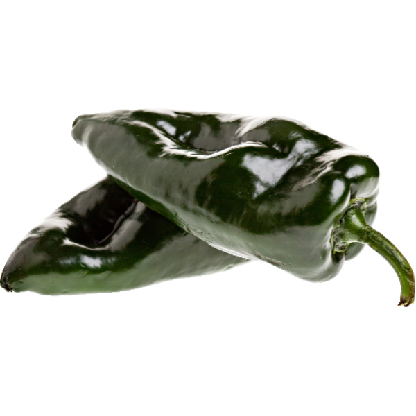 Poblano Chile Pepper