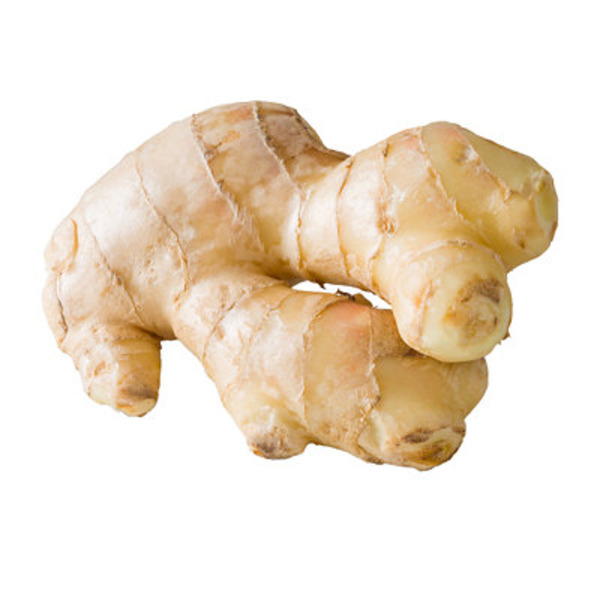 GINGER ROOT