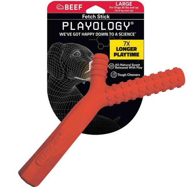 Playology Fetch Stick Beef Dog Toy, Large