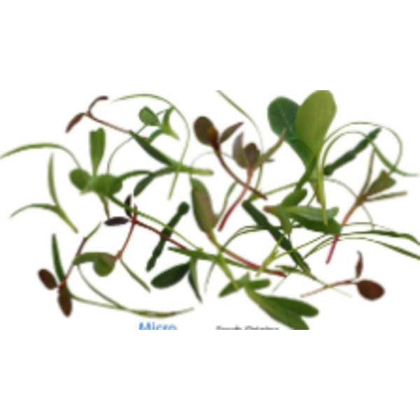 Micro Rainbow Mix - 8 oz