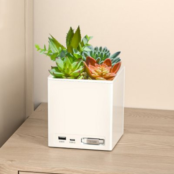 Tech2 Power Bloom Charging Plant With Built-in Retractable USB-C Cable  Same-Day Delivery | Sam's Club